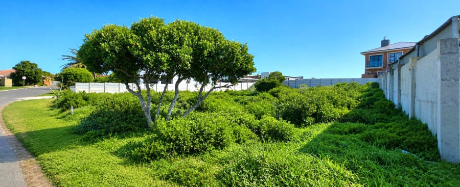0 Bedroom Property for Sale in Kleinbaai Western Cape